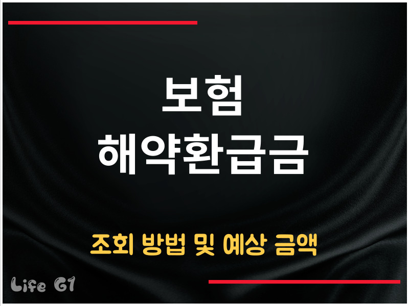 보험 해약환급금 조회 방법