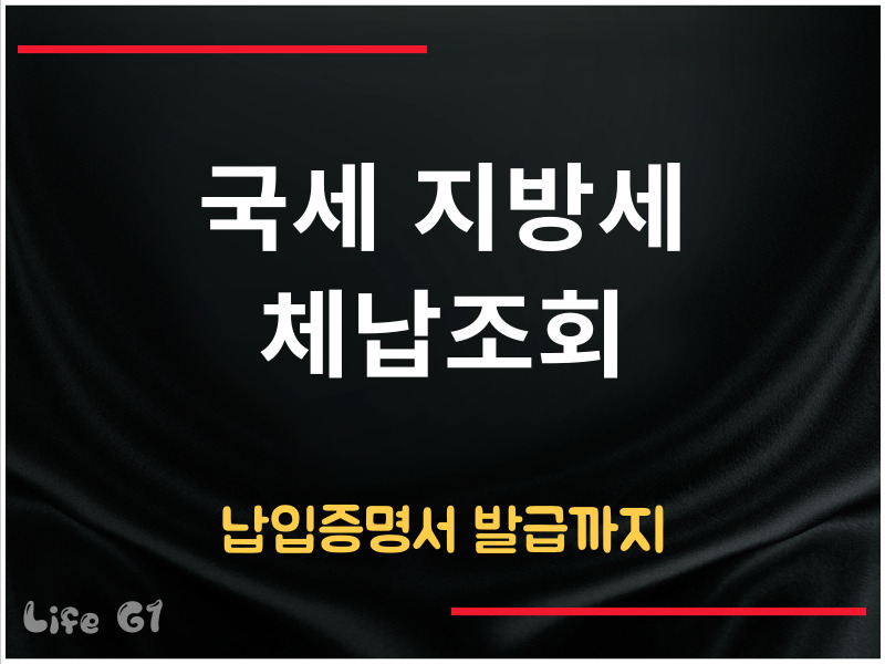 국세 지방세 체납조회