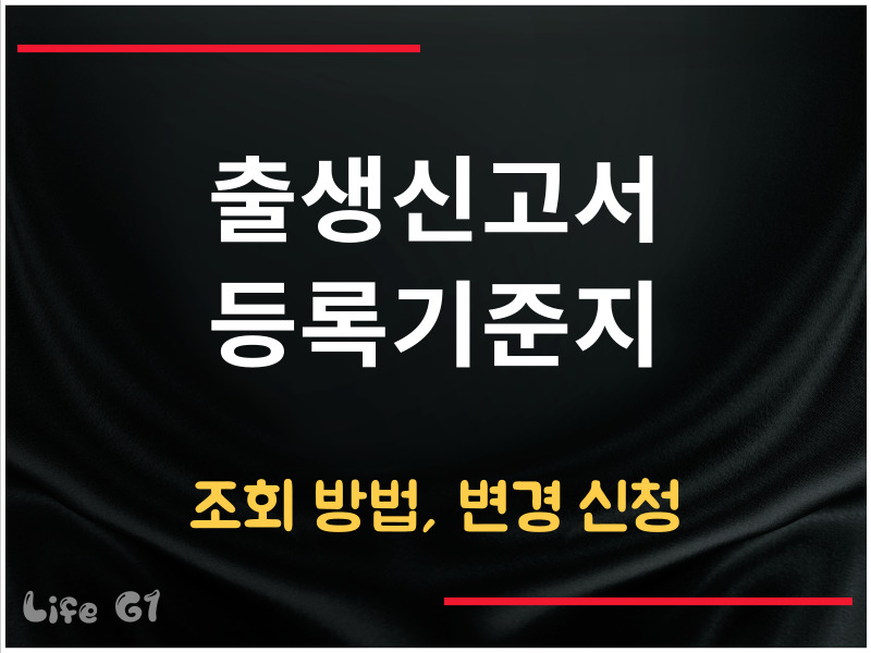 출생신고서 등록기준지 조회